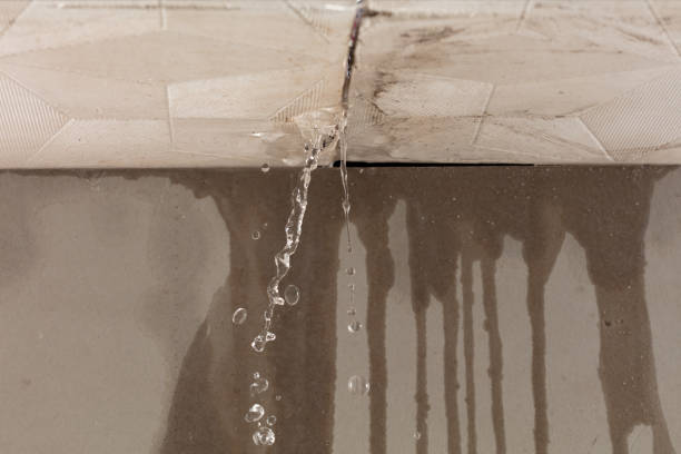 Professional Water Extraction technician working in Jericho, NY
